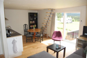 Apartment on Golsfjellet!